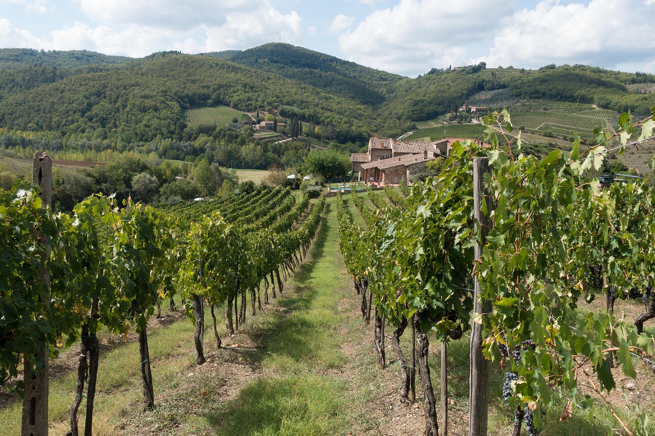 Chianti wine