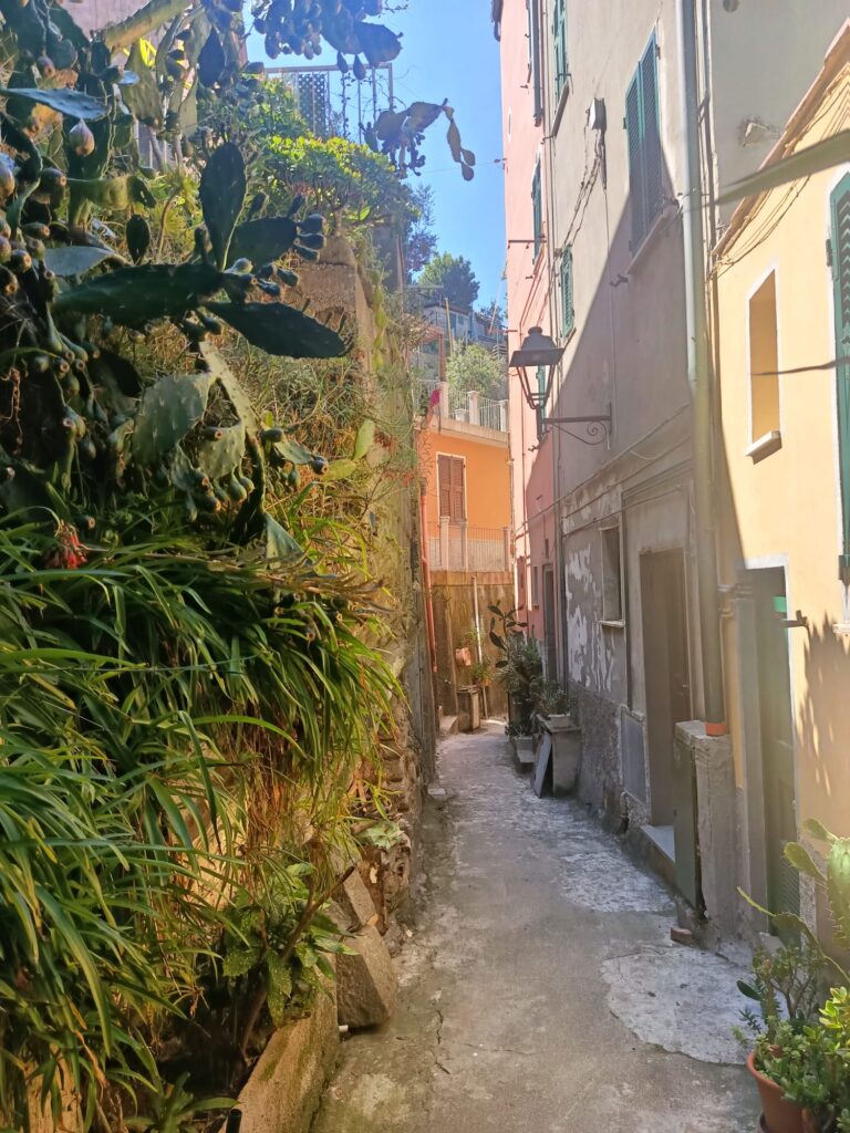 italy driving tours celle di san francesco cortona images 01