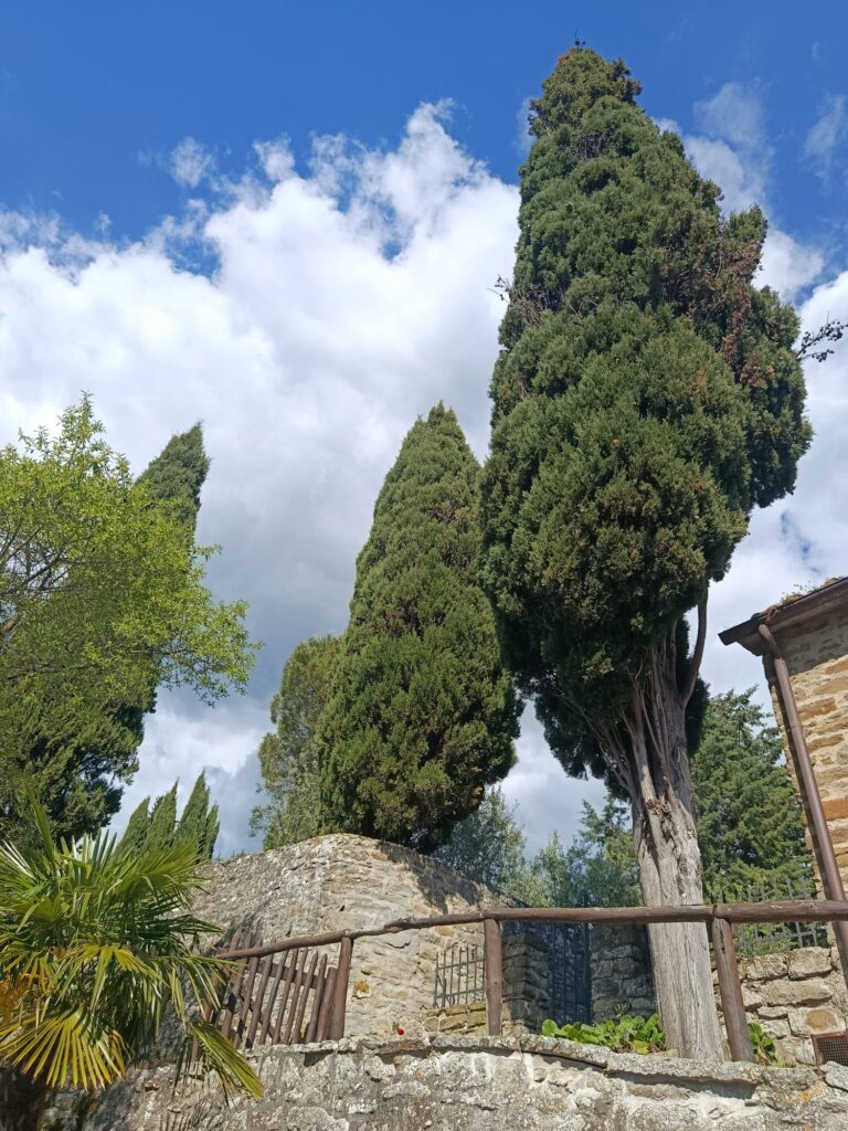italy driving tours celle di san francesco cortona images 014