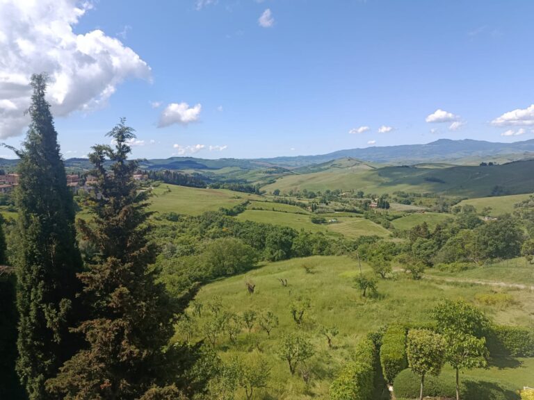 italy driving tours chianti vignamaggio images 01