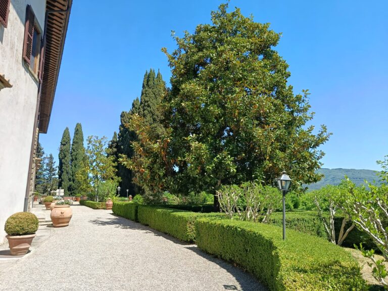 italy driving tours chianti vignamaggio images 012