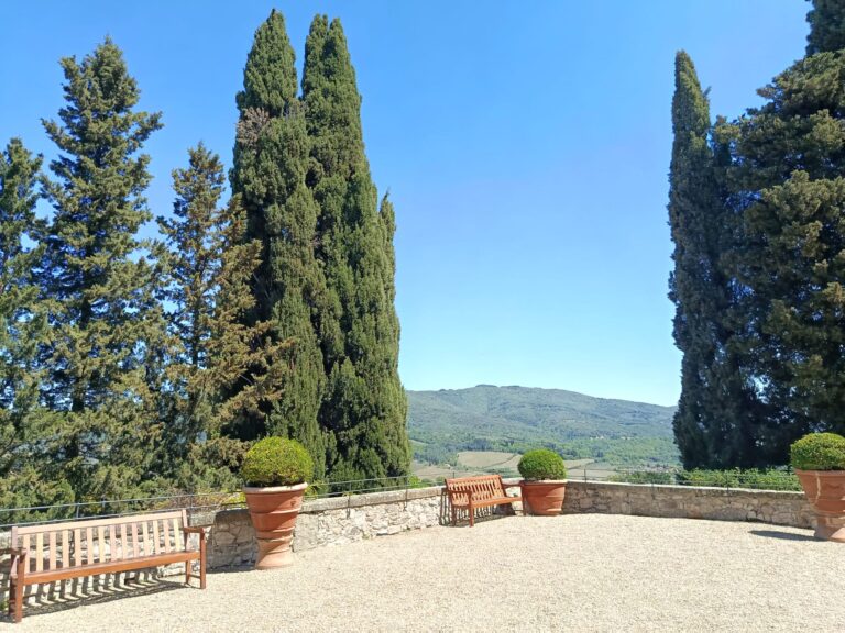 italy driving tours chianti vignamaggio images 03