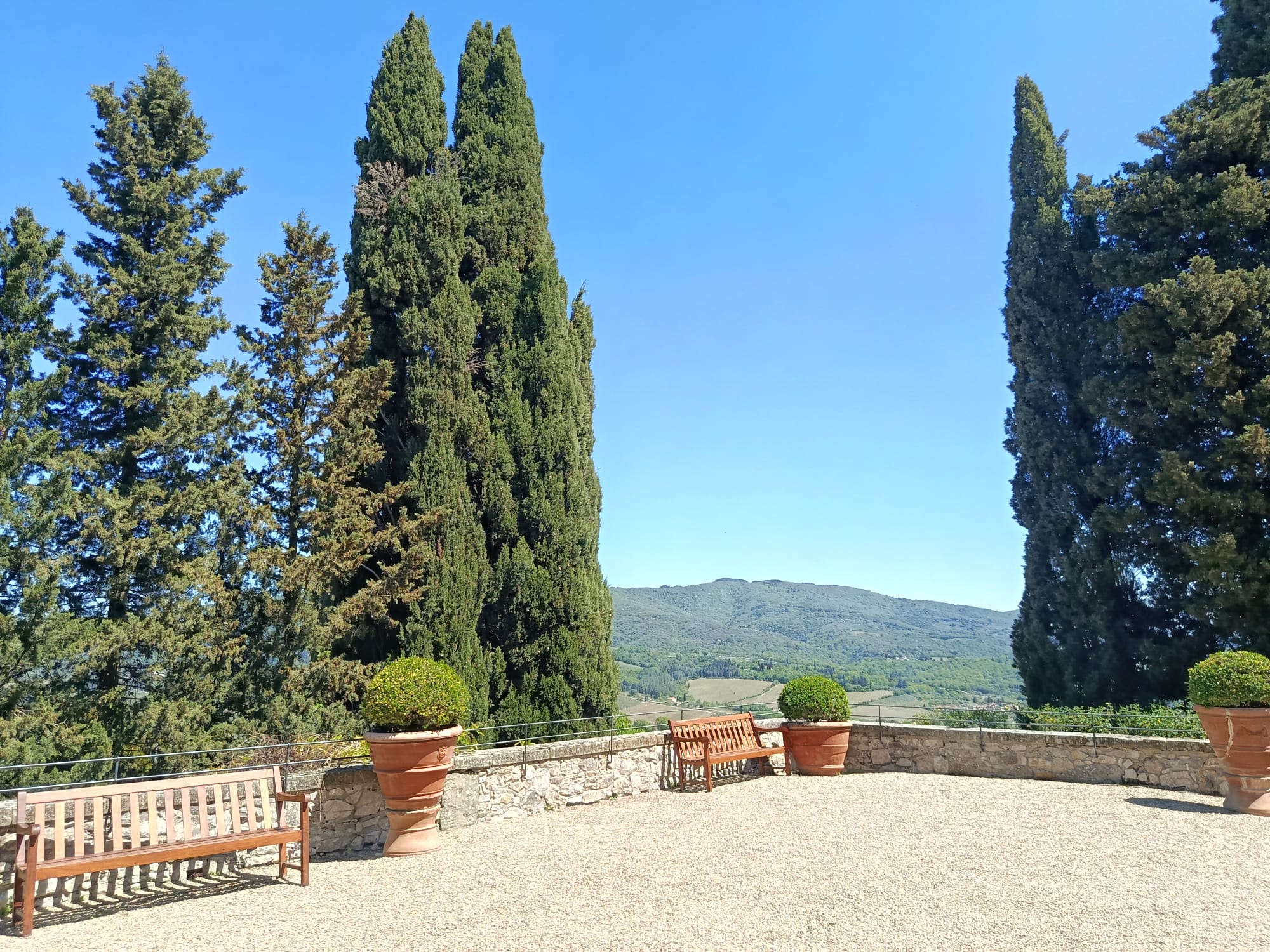italy driving tours chianti vignamaggio images 03