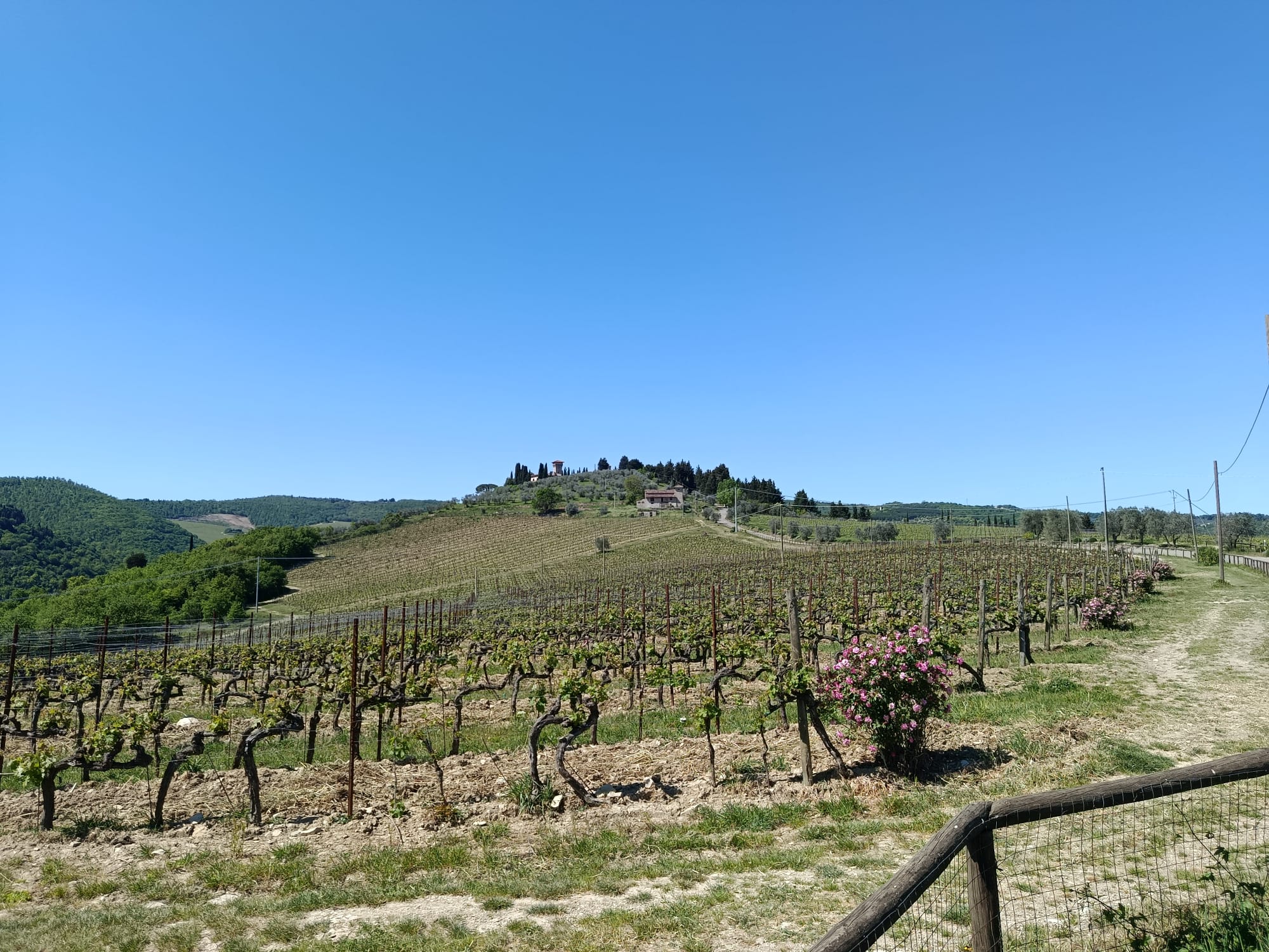italy driving tours chianti vignamaggio images 09