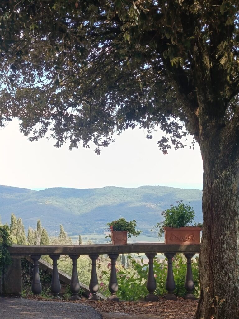 italy driving tours cortona images 04