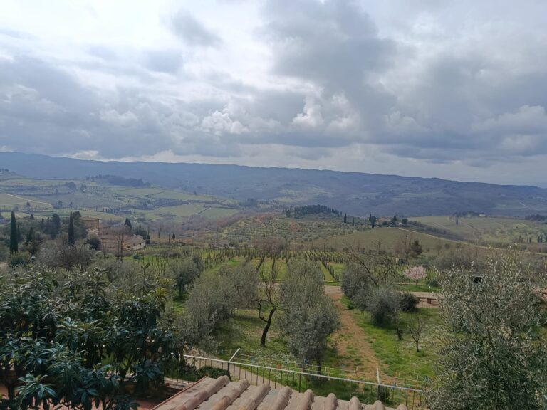 italy driving tours panzano images 01