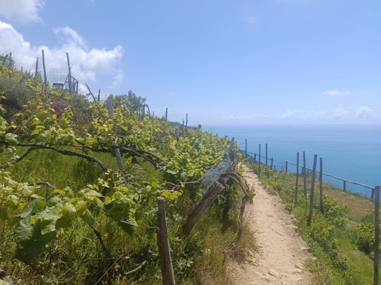italy driving tours images 04