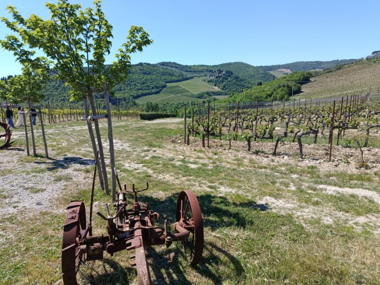 Italy Driving Tours - Chianti Tour